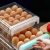 18 2-Layer Egg Rack – Kitchen Storage Organizer